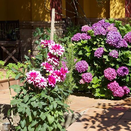 Hotel Donana Blues Matalascanas Ngoại thất bức ảnh