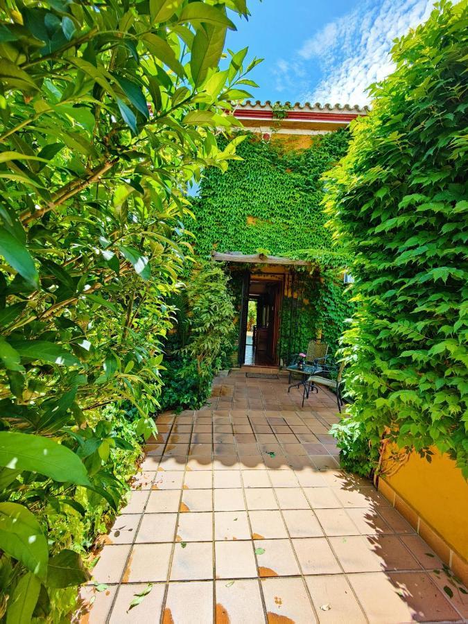 Hotel Donana Blues Matalascanas Ngoại thất bức ảnh