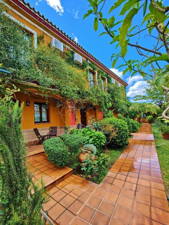 Hotel Donana Blues Matalascanas Ngoại thất bức ảnh
