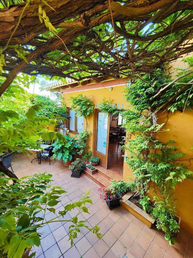 Hotel Donana Blues Matalascanas Ngoại thất bức ảnh