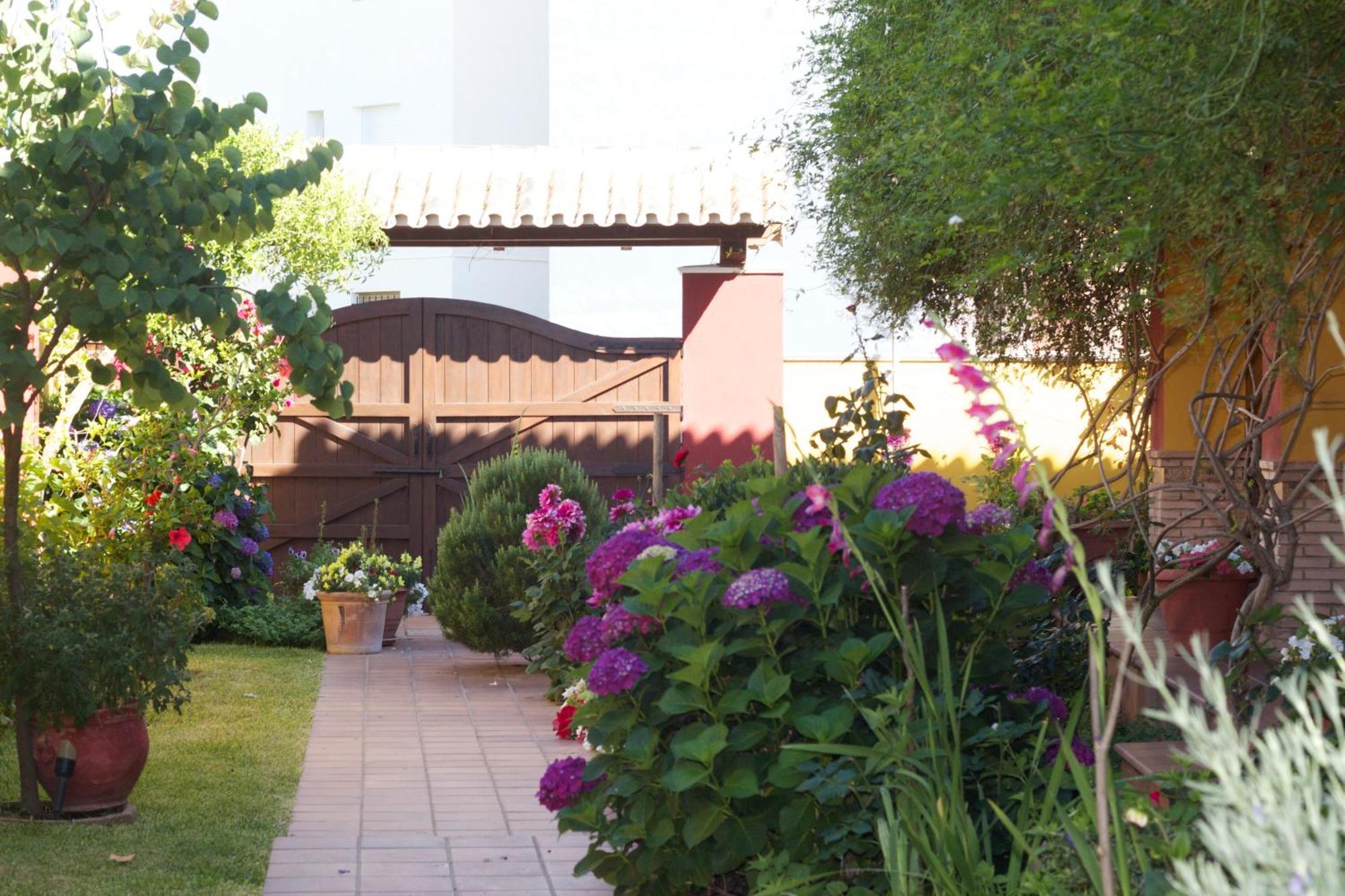 Hotel Donana Blues Matalascanas Ngoại thất bức ảnh